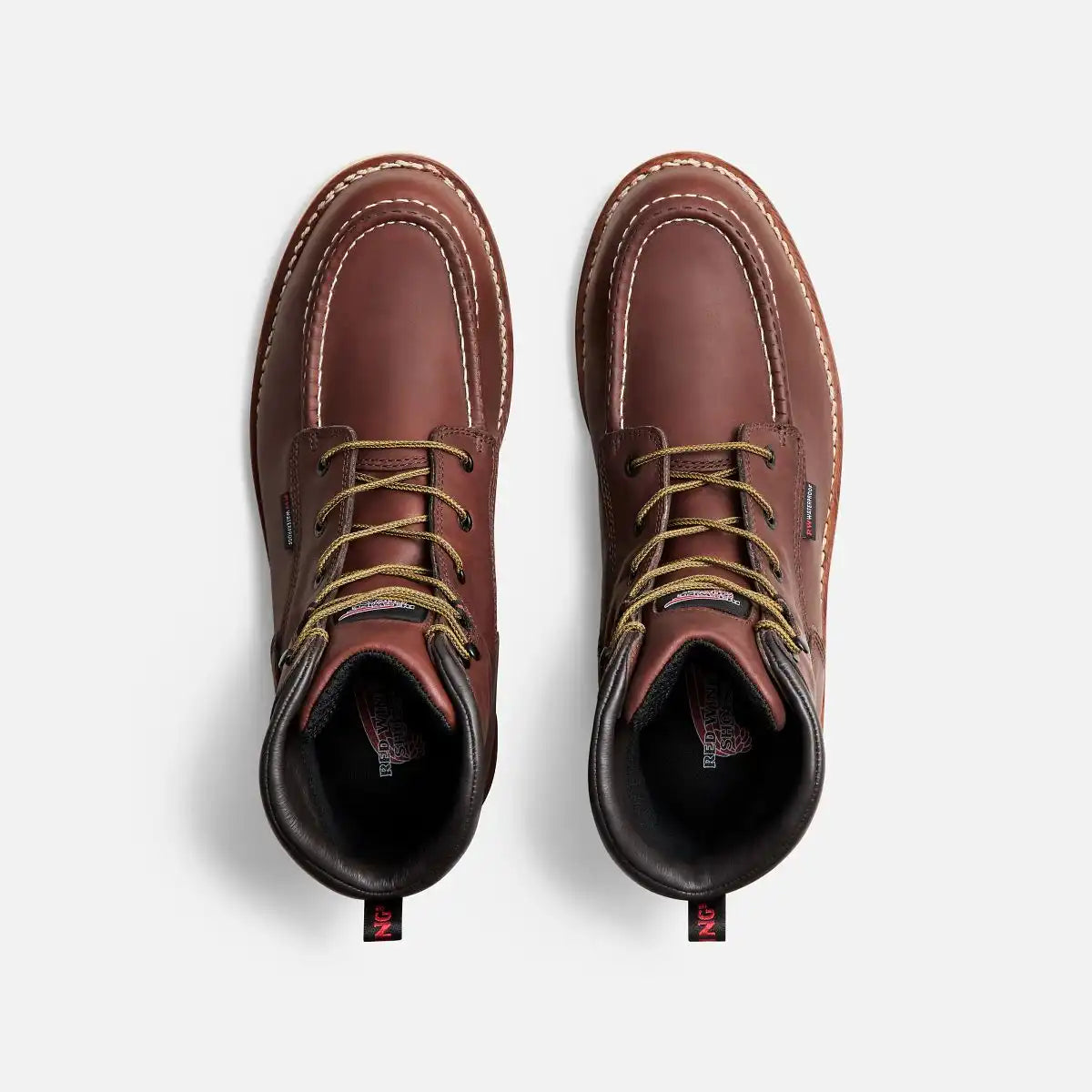 Traction Tred
