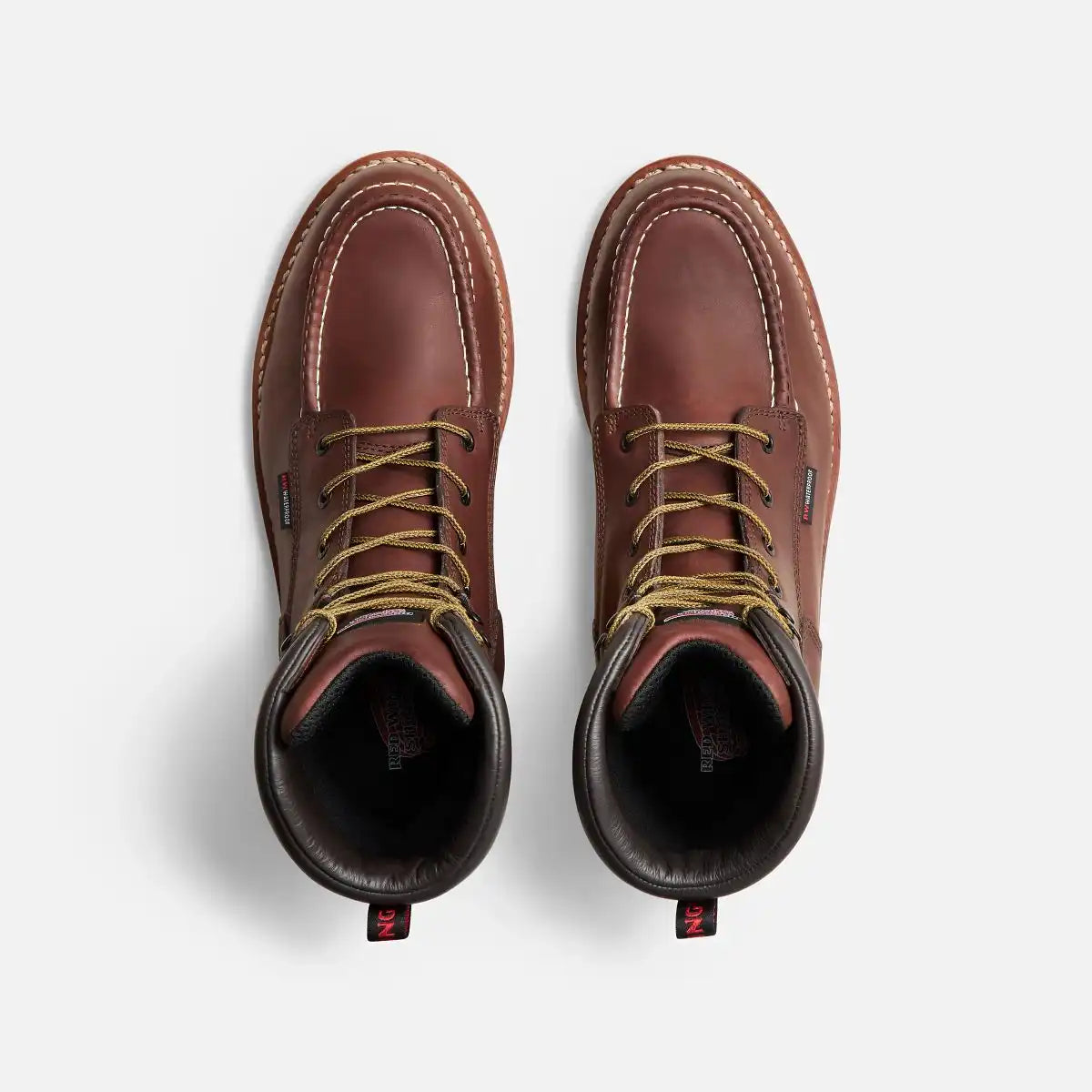Traction Tred